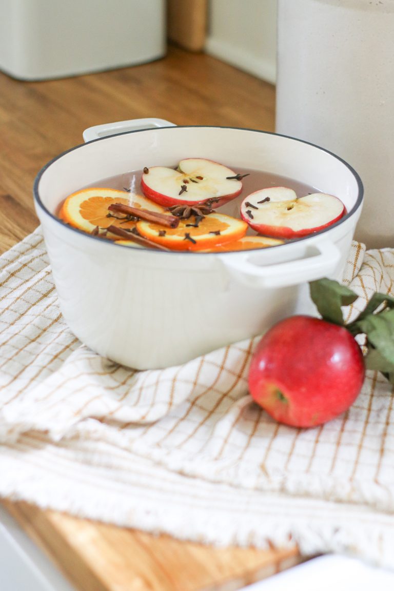 enamel pot with fruits and spices for fall